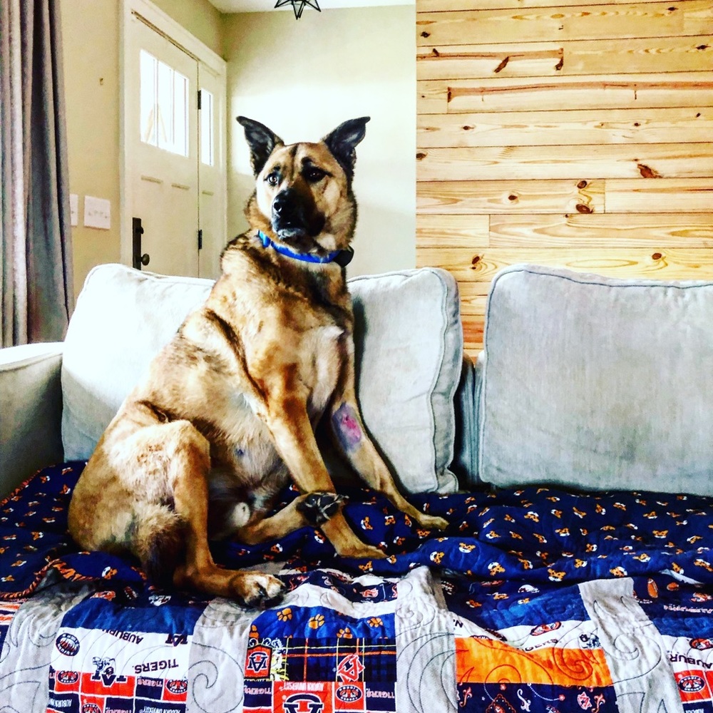 Meet your Posher, Ashley